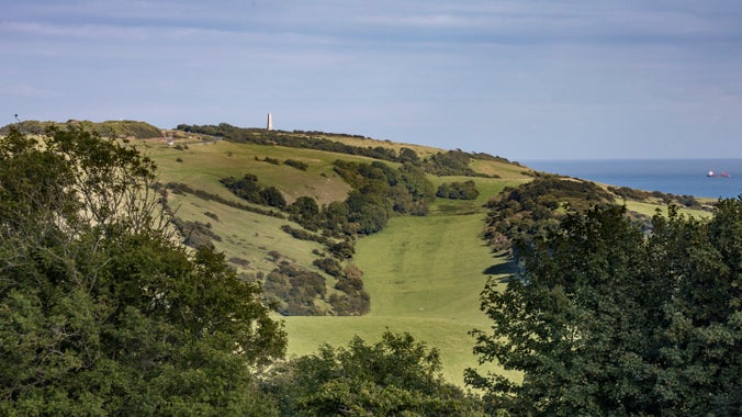 A long-distance view of the side of Bembridge Down leading to the YarboroughMonument in the distance
